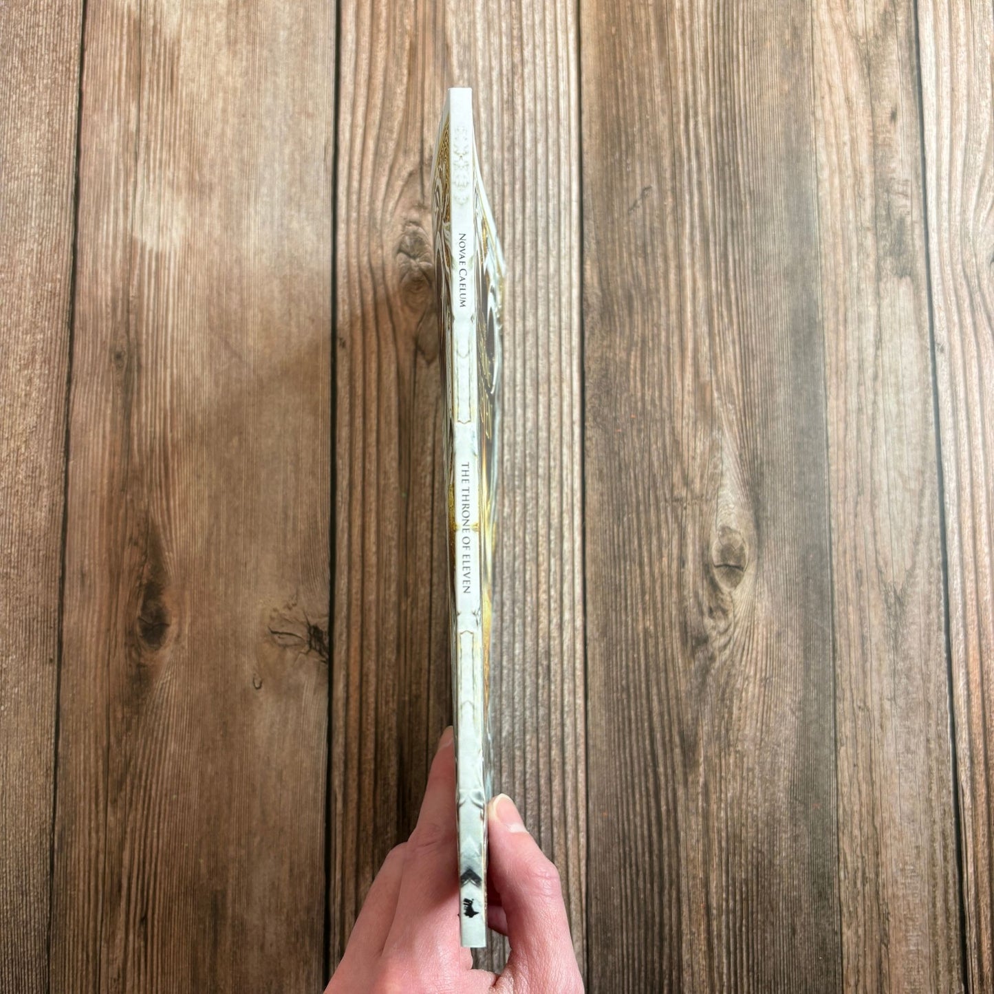The Throne of Eleven (Spine Cover Paperback)