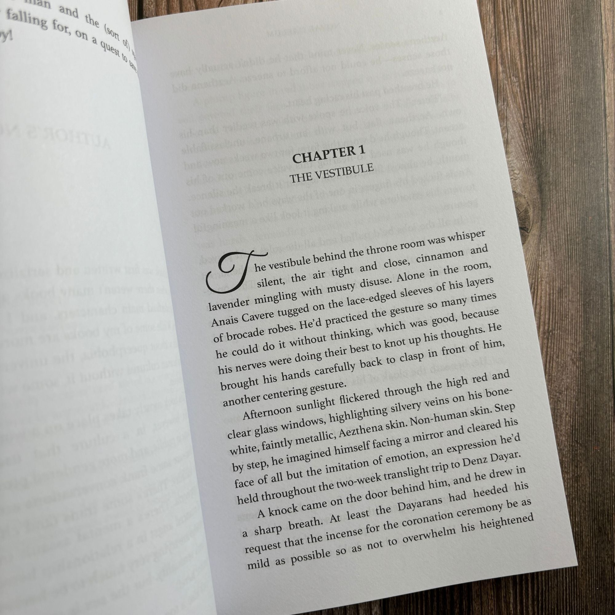 Good King Lyr: Lyr and Cavere Book 1 (Chapter 1 preview)