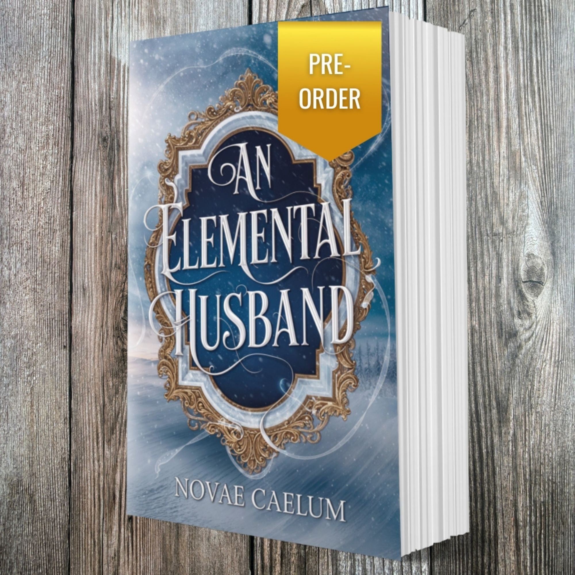 PRE-ORDER An Elemental Husband: The King's Weaver Book 4 (Paperback)