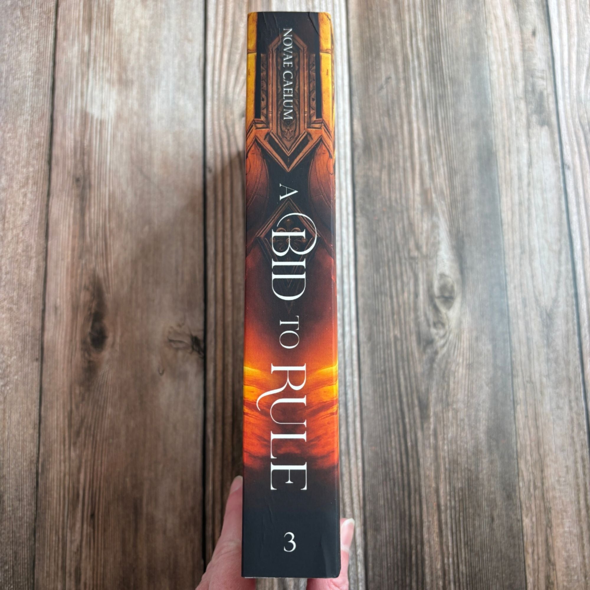 A Bid to Rule: The Stars and Green Magics Book 3 (Paperback)