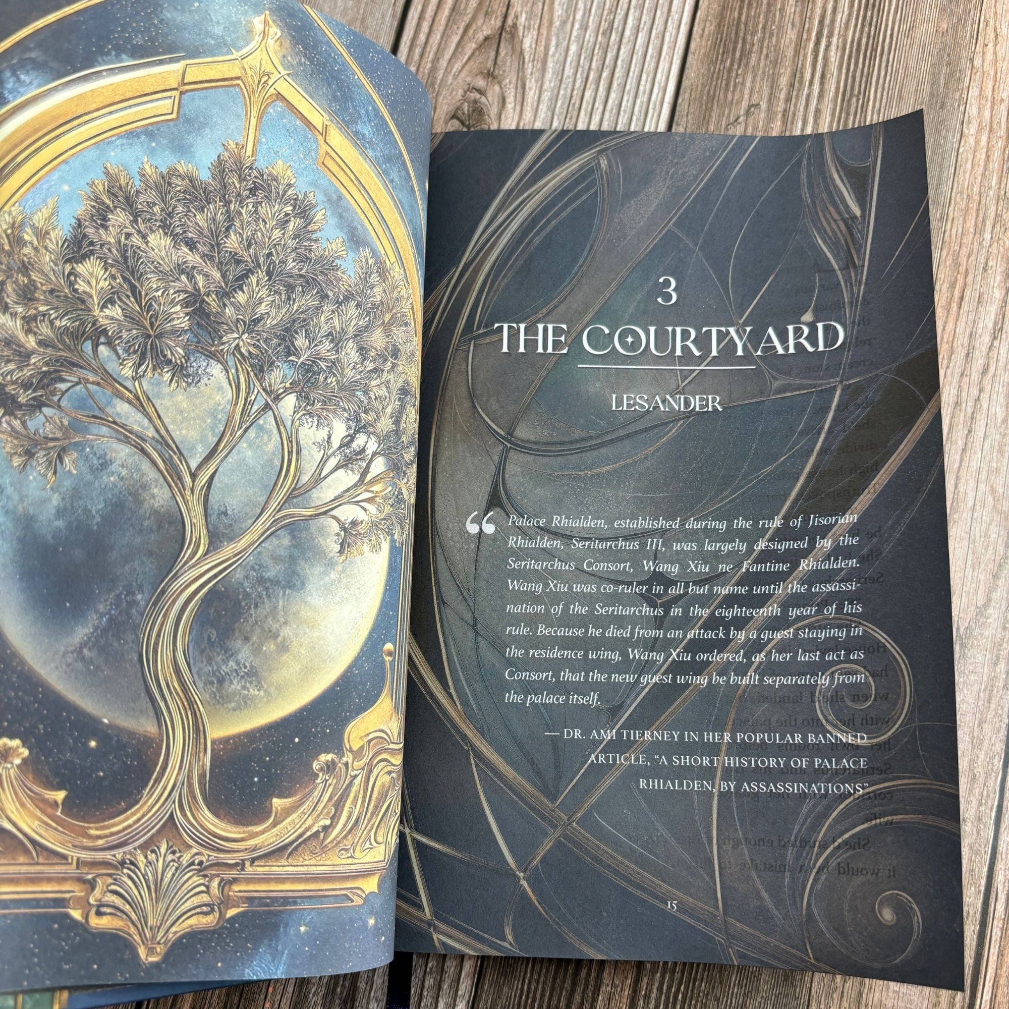 Special Edition Hardcover - The Truthspoken Heir: The Stars and Green Magics Book 1