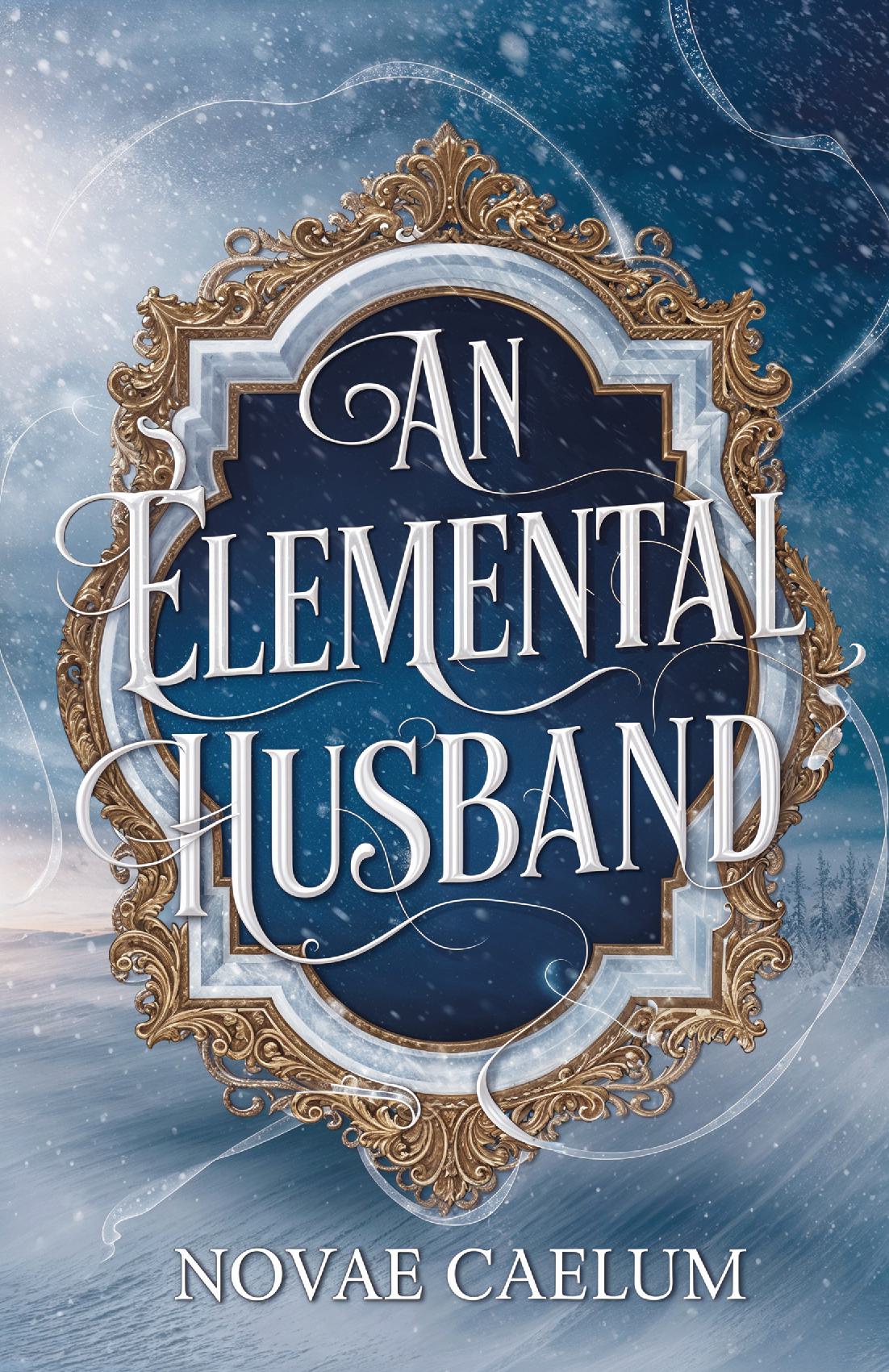 An Elemental Husband Paperback (Unsigned)