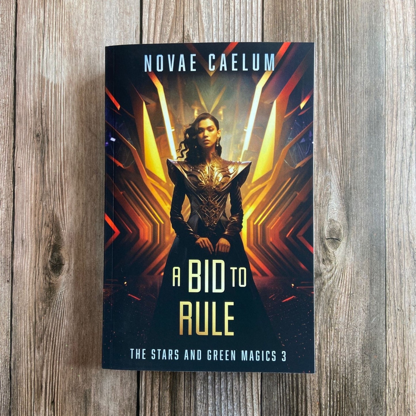 A Bid To Rule (Paperback)