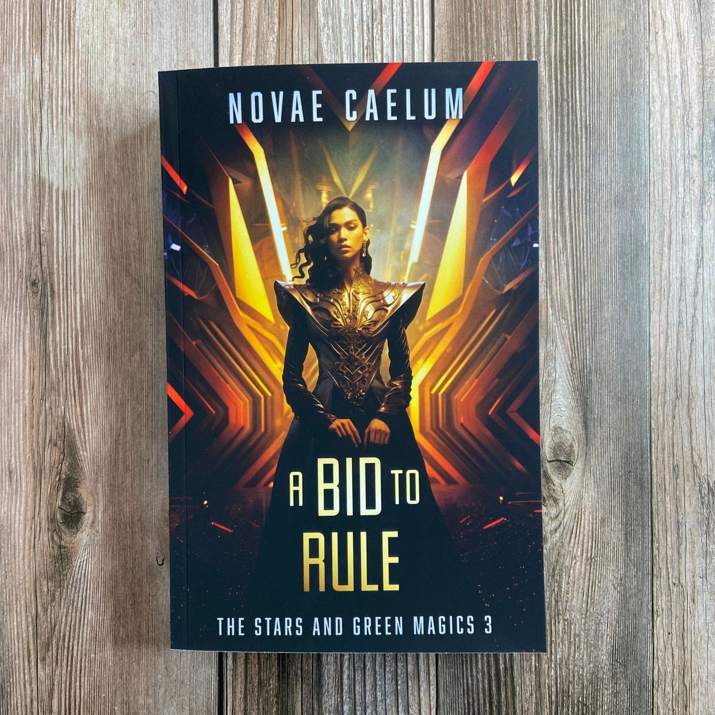 A Bid to Rule (Paperback) 