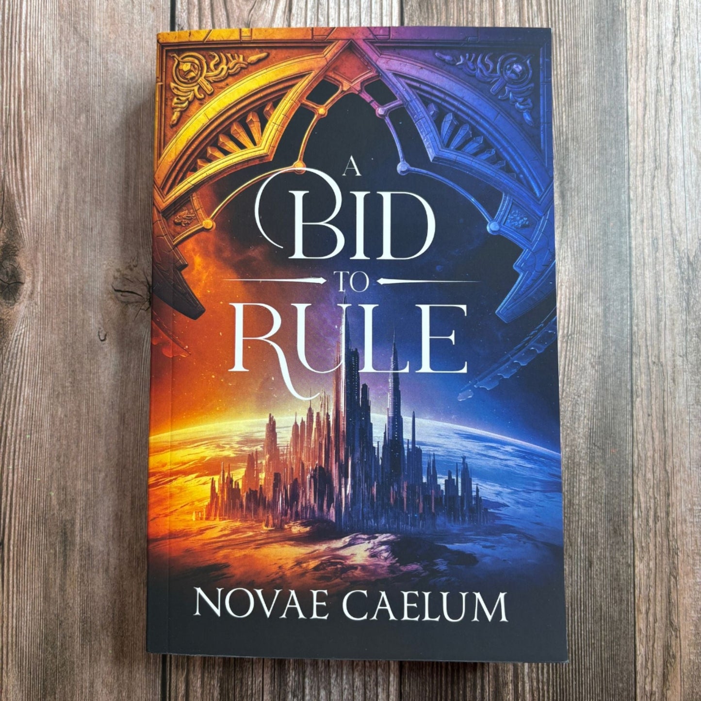 A Bid to Rule discreet cover paperback with swag