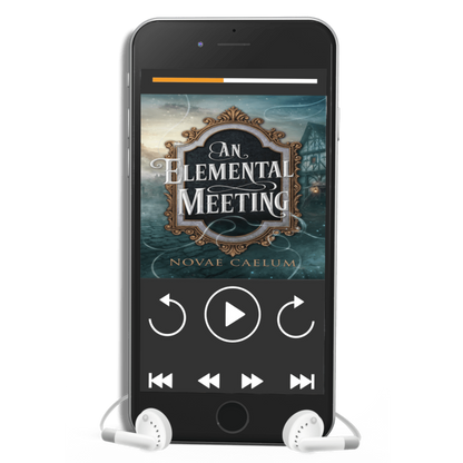 An Elemental Meeting: The King's Weaver Book 3 (Audiobook)