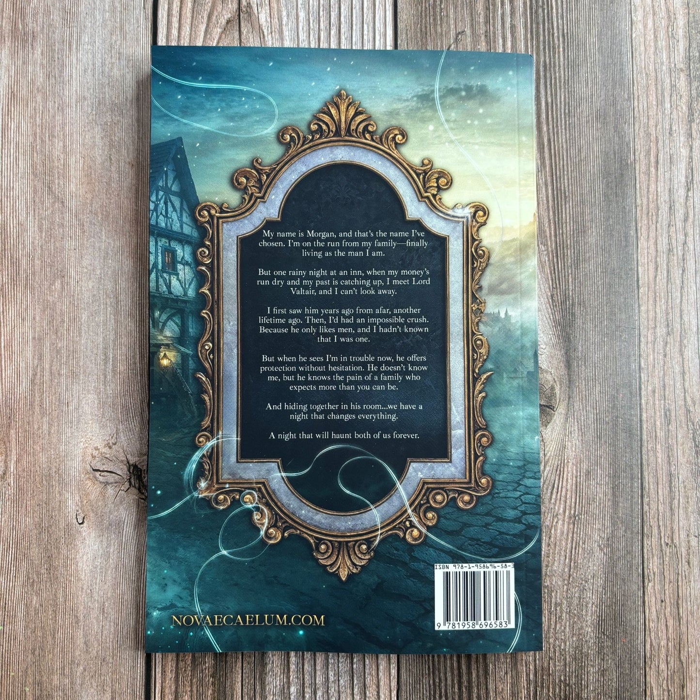 An Elemental Meeting: The King's Weaver Book 3 (Back Cover Paperback)
