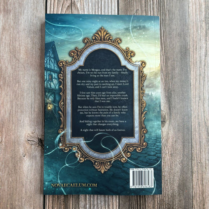 An Elemental Meeting: The King's Weaver Book 3 (Back Cover Paperback)