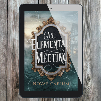 An Elemental Meeting: The King's Weaver Book 3 (Ebook)