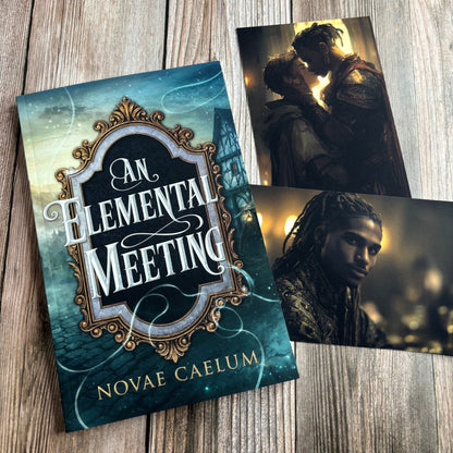An Elemental Meeting: The King's Weaver Book 3 (Paperback and Sticker) 