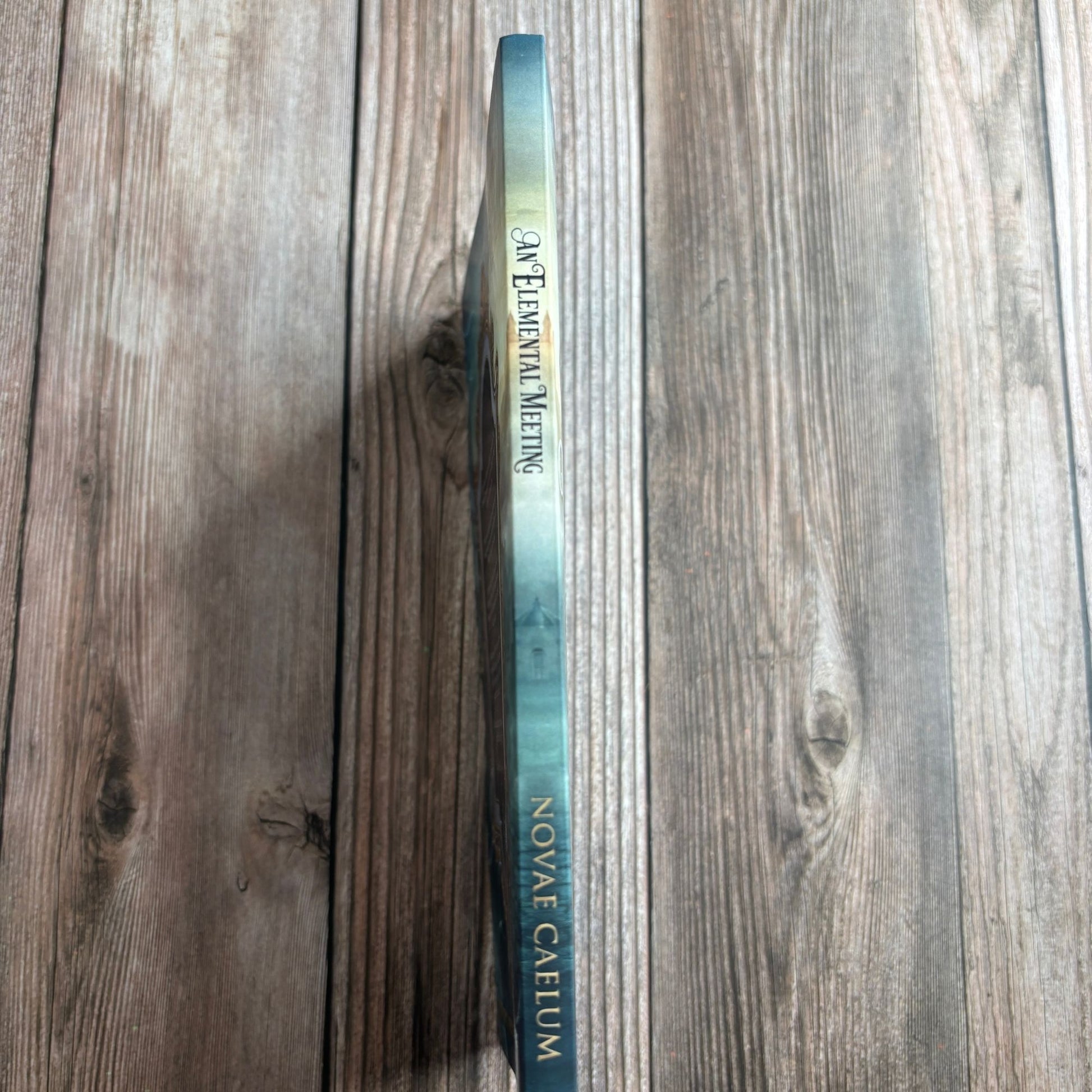 An Elemental Meeting: The King's Weaver Book 3 (Spine Cover Paperback)