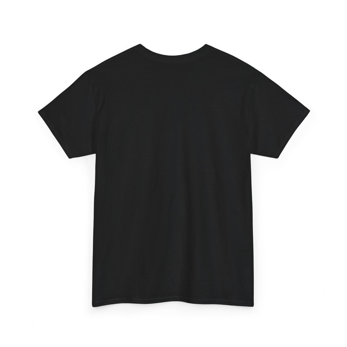 Black unisex t-shirt, back view, plain with no print, shown flat.